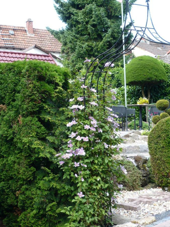 Haus Anna An Der Stadtmauer Hanau Bagian luar foto